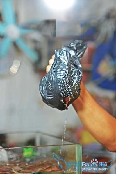 三亚美食攻略游记