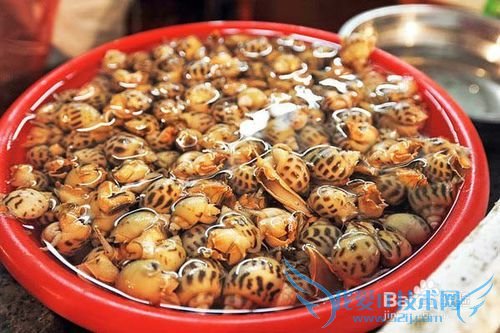 三亚美食攻略游记