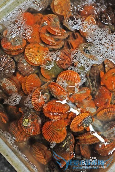 三亚美食攻略游记