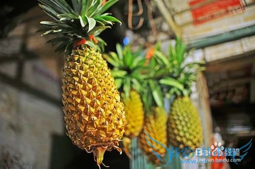 三亚美食攻略游记