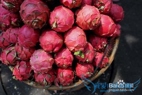 三亚美食攻略游记