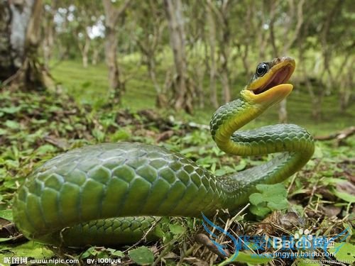 山区旅游要注意哪些危险