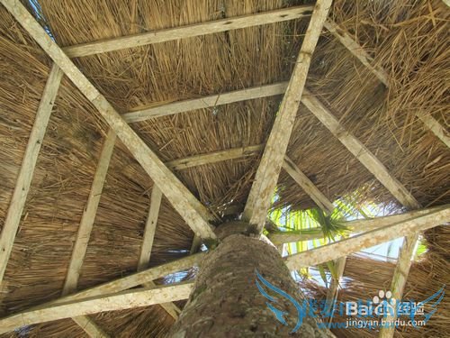 海南旅游之海口假日海滩