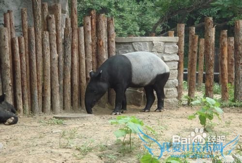 ³¤´ºµ½±±¾©ÂÃÓι¥ÂÔ