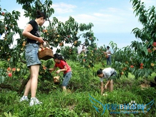 旅游玩什么项目好呢?