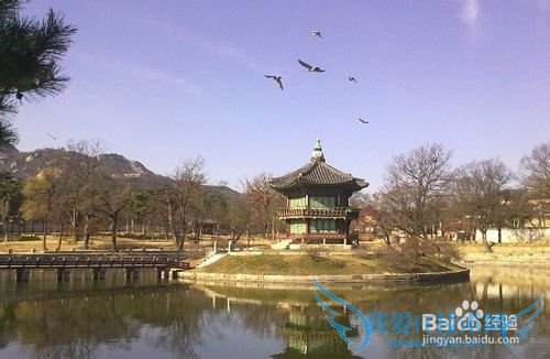 去韩国五日旅游推荐行程