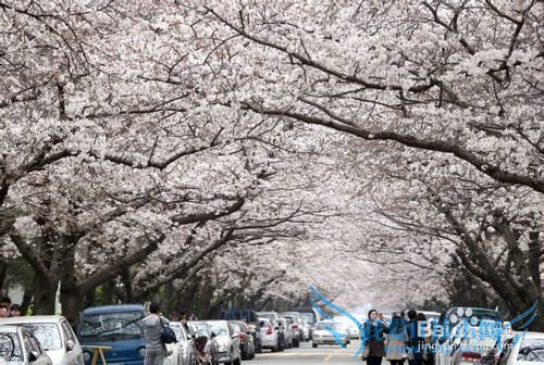 去韩国五日旅游推荐行程