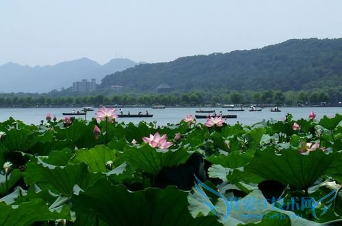 杭州精品旅游攻略