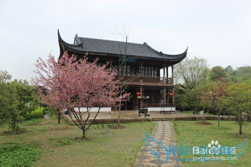 假期自驾旅游之苏州林屋洞