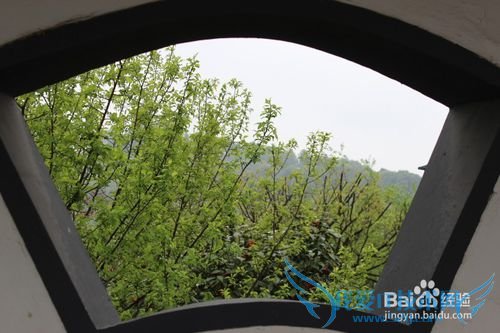 假期自驾旅游之苏州林屋洞