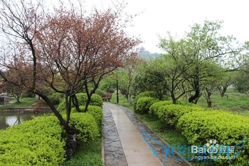 假期自驾旅游之苏州林屋洞