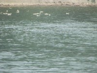 参团双飞桂林行