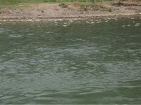 参团双飞桂林行