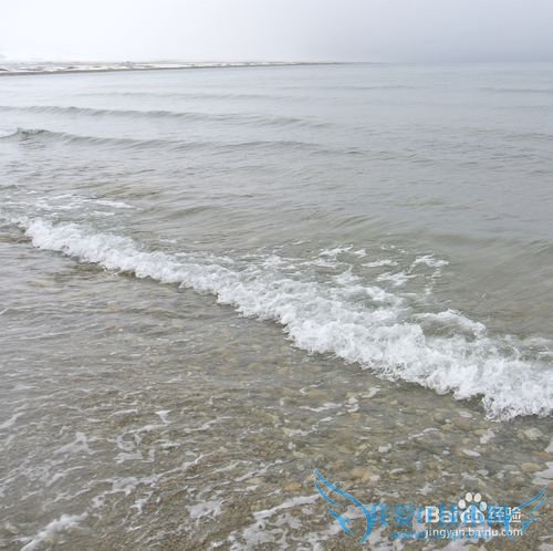 青海湖旅游攻略~