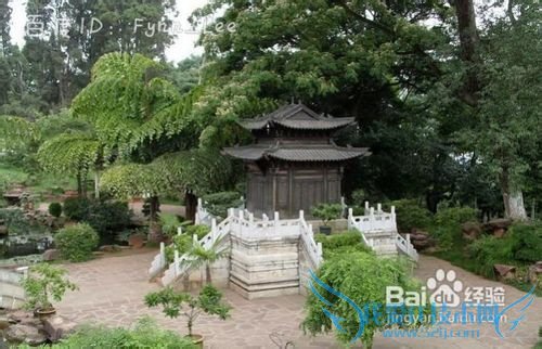 12月云南旅游攻略