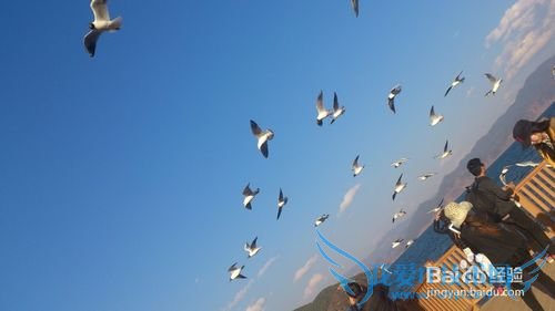 骑行泸沽湖一日游攻略!