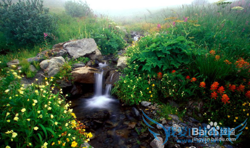 云南旅游全攻略之香格里拉