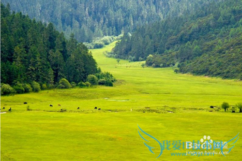 云南旅游全攻略之香格里拉