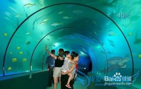 湖南有哪些旅游景点