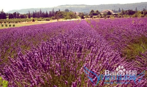 欧洲旅游攻略-经典篇