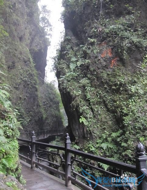 如何做到精粹游峨眉山?