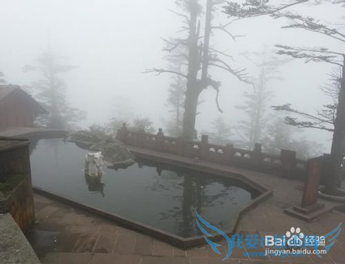 如何做到精粹游峨眉山?