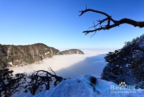 如何做到精粹游峨眉山?