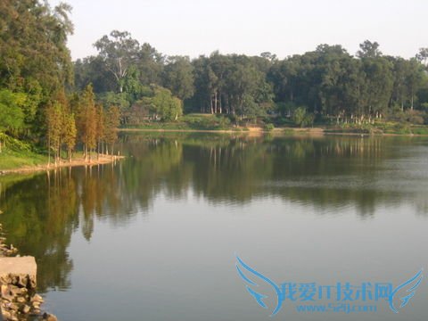 怎样安排广州旅游的行程