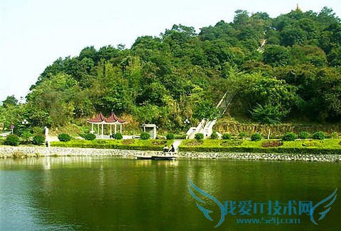 怎样安排广州旅游的行程