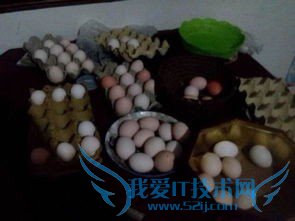 度假旅游好去处=====农村