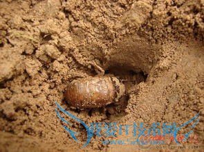 度假旅游好去处=====农村