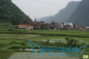 度假旅游好去处=====农村