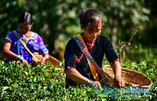 云南旅游攻略——大理