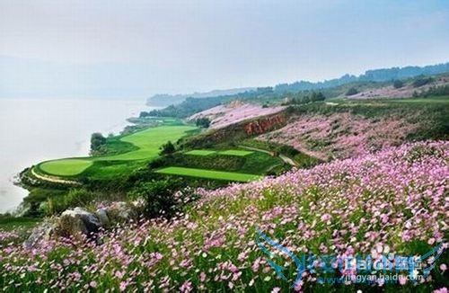 云南6月旅游攻略