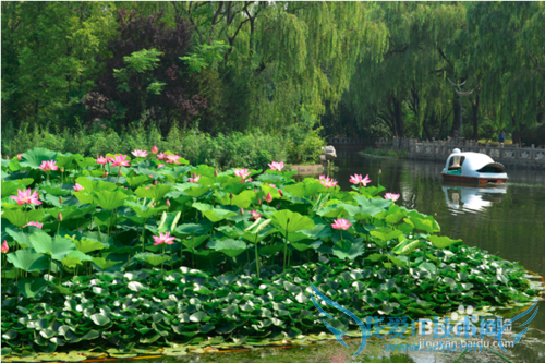 济南旅游攻略——济南哪些地方值得一游