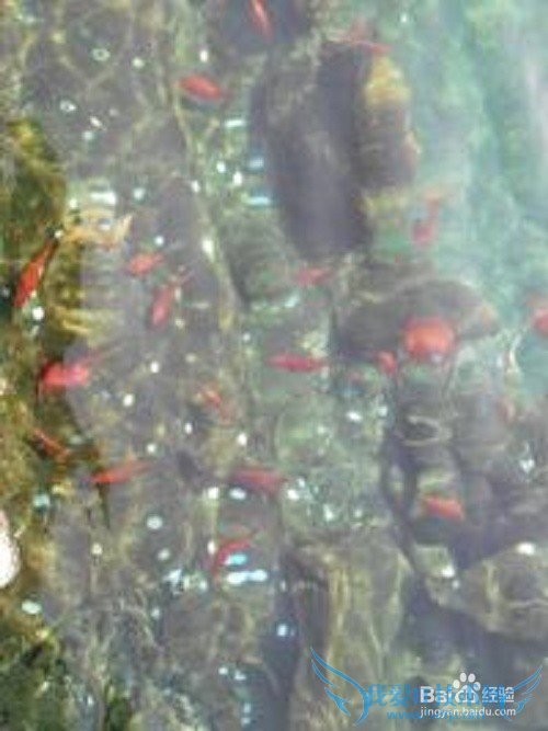 济南旅游攻略——济南哪些地方值得一游