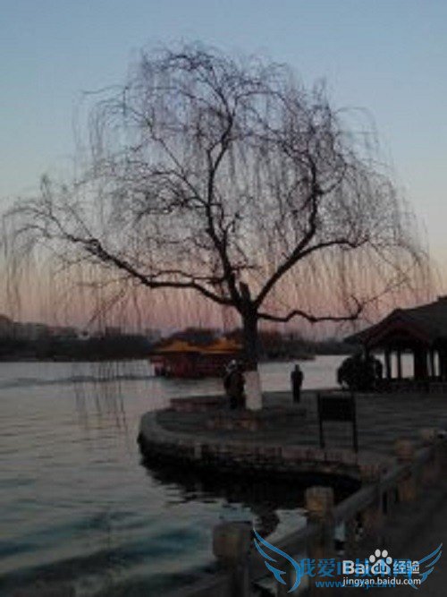 济南旅游攻略——济南哪些地方值得一游