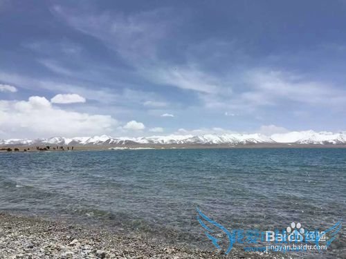 ÉϺ£µ½ÀÈøÂÃÓι¥ÂÔ