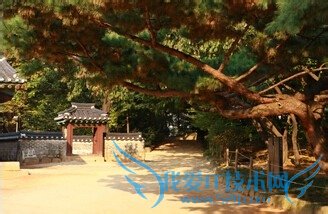 【韩国旅游 首尔】去韩国首尔旅游的体验之旅