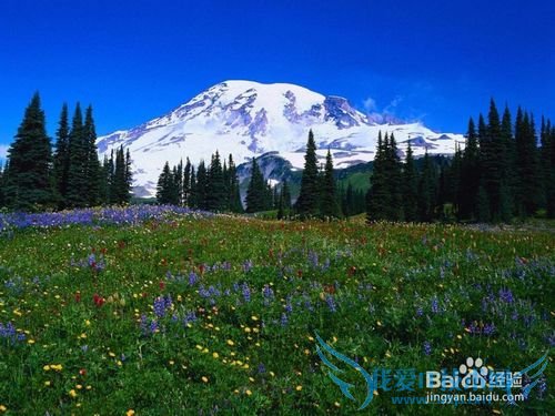 云南五一到哪旅游好