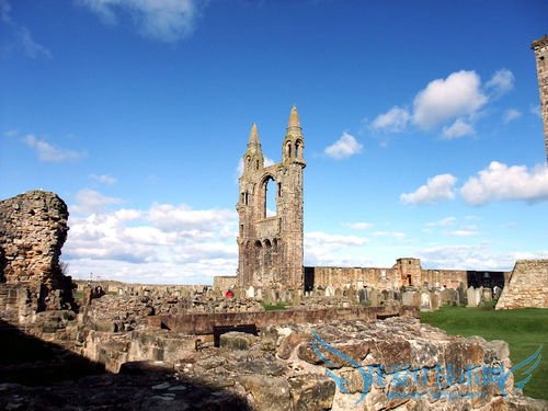 到英国旅游有哪些活动?