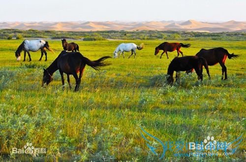 宁夏有什么好玩的地方?宁夏旅游攻略