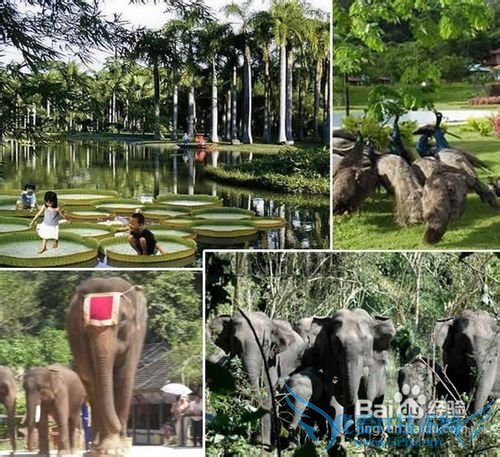 2013云南旅游攻略