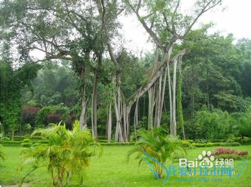 2013云南旅游攻略