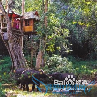 2013云南旅游攻略