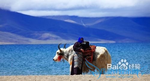 学生最爱国内旅游地推荐