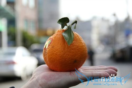 韩国旅游6天跟团游