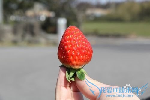 韩国旅游6天跟团游