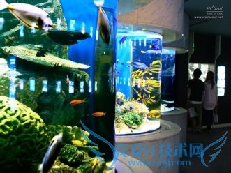 韩国63大厦旅游攻略