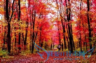 济南旅游详细指导